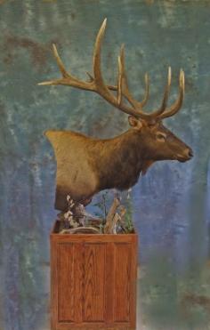 Profile of Elk Pedestal mount. 0