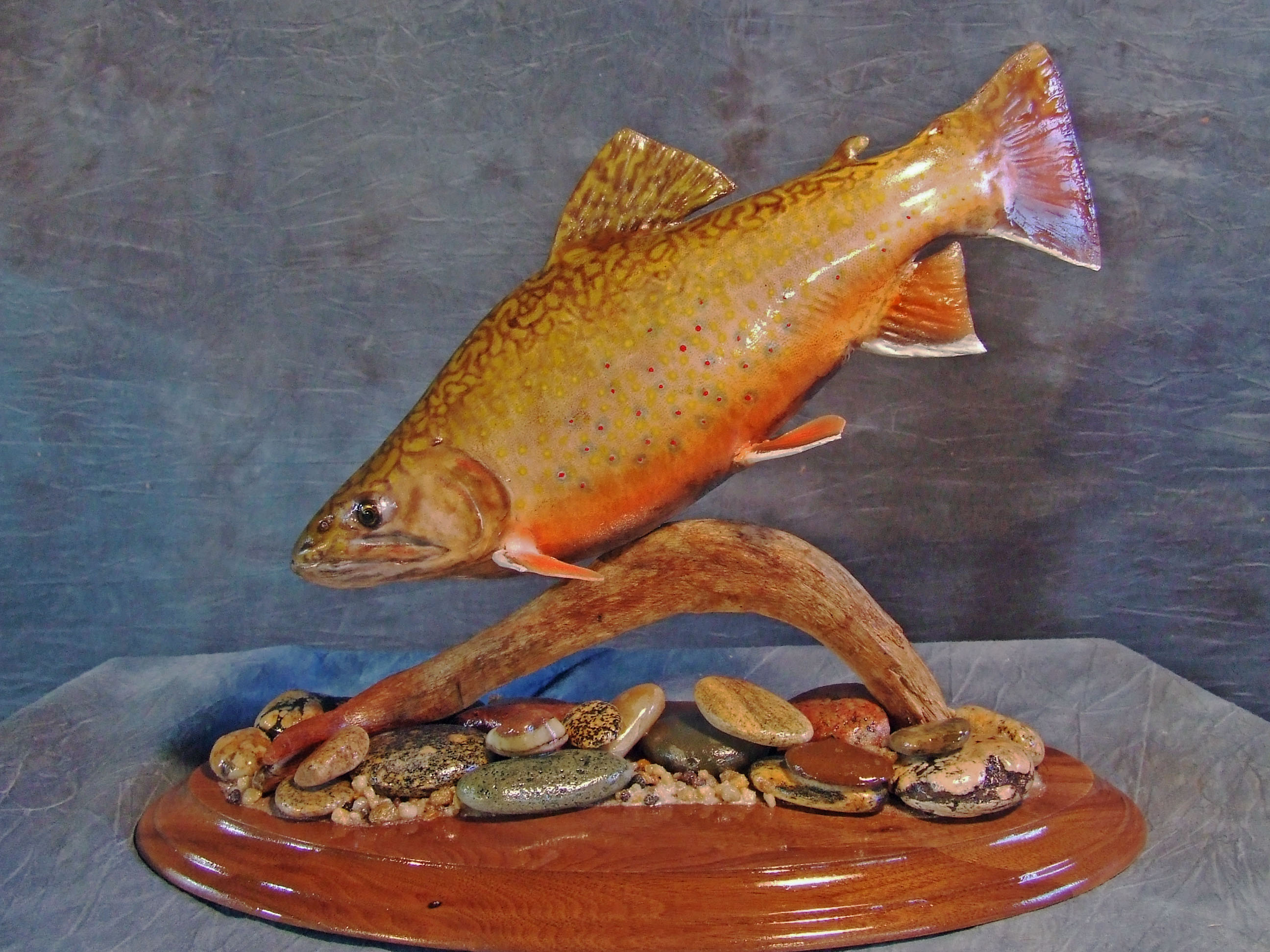 Brook Trout.