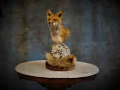 Red Fox Pedestal. 0