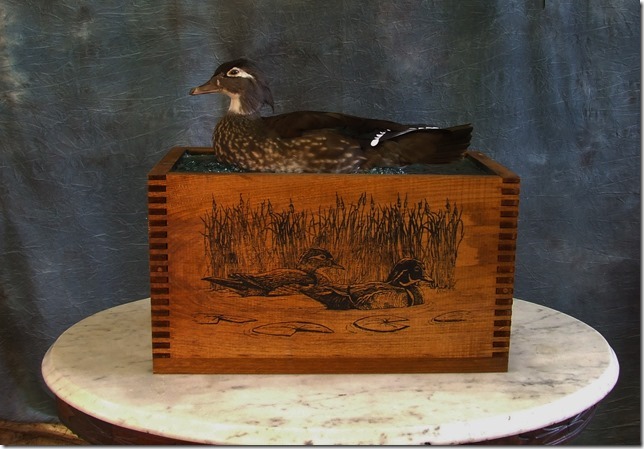 Woodduck and shot shell box.