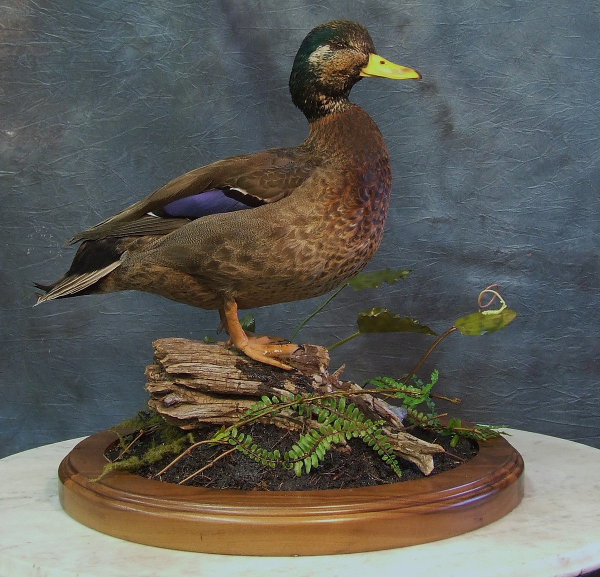 Waterfowl Custom Habitat.