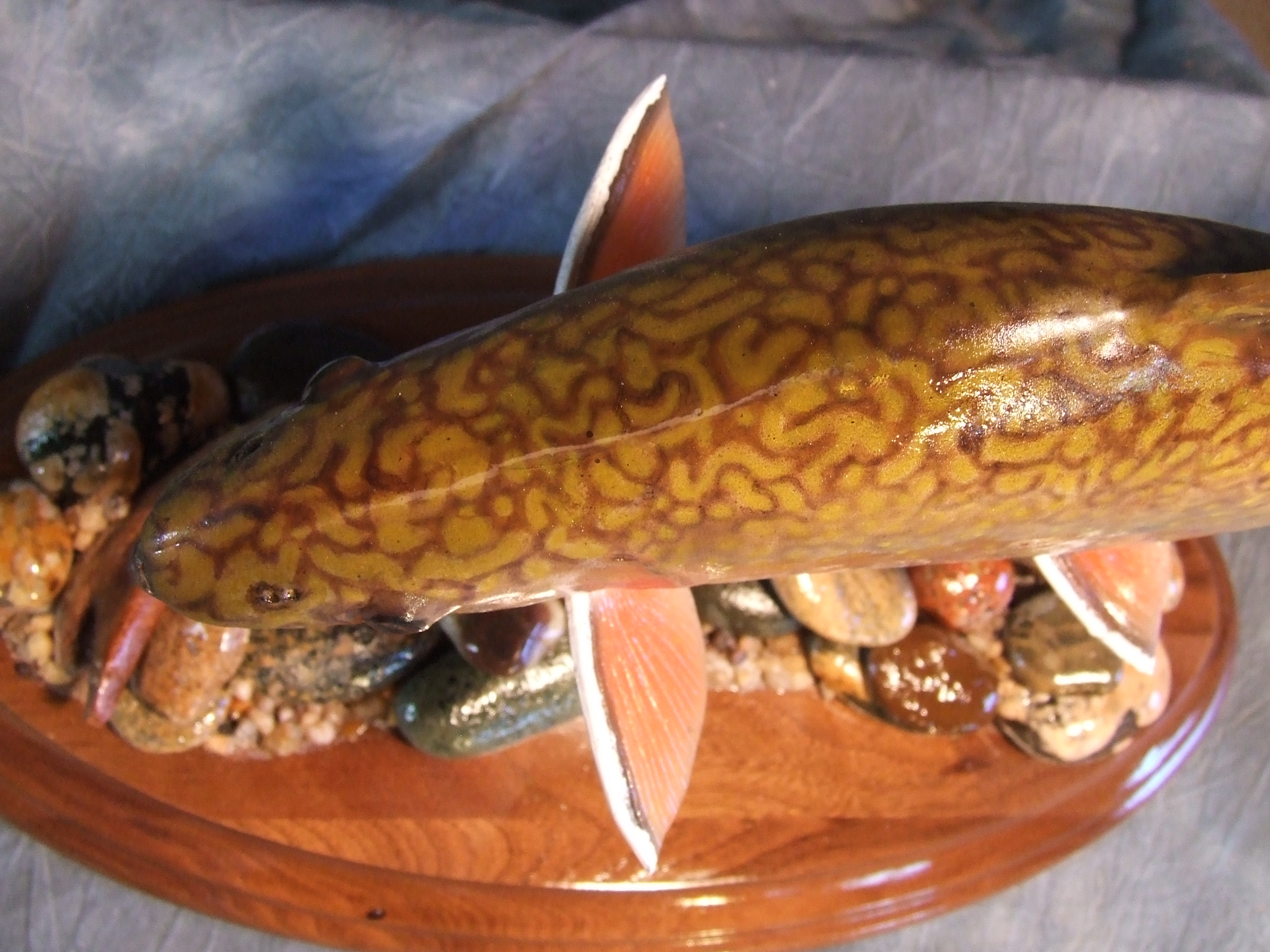 Brook Trout