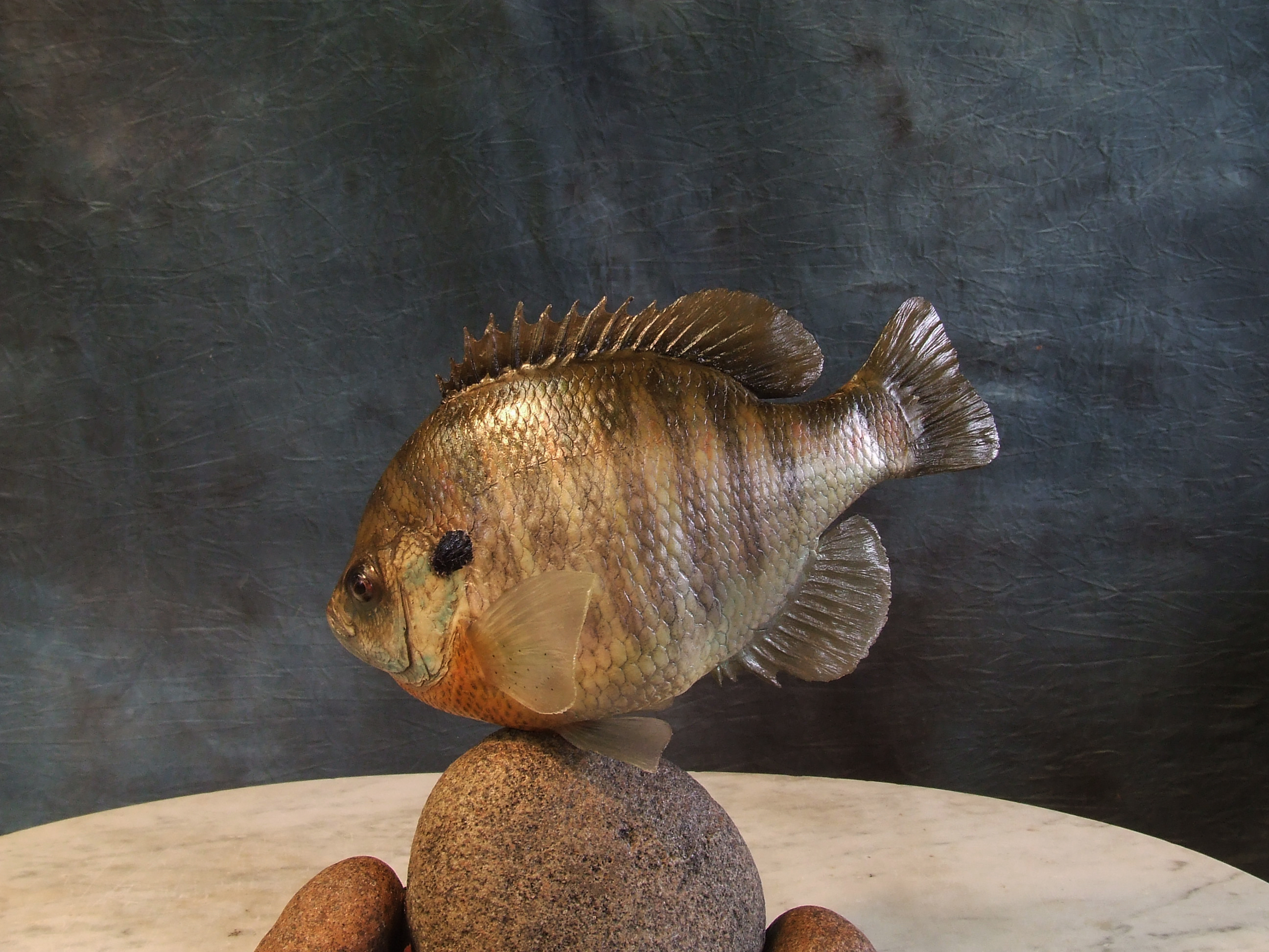 Bluegill mount.