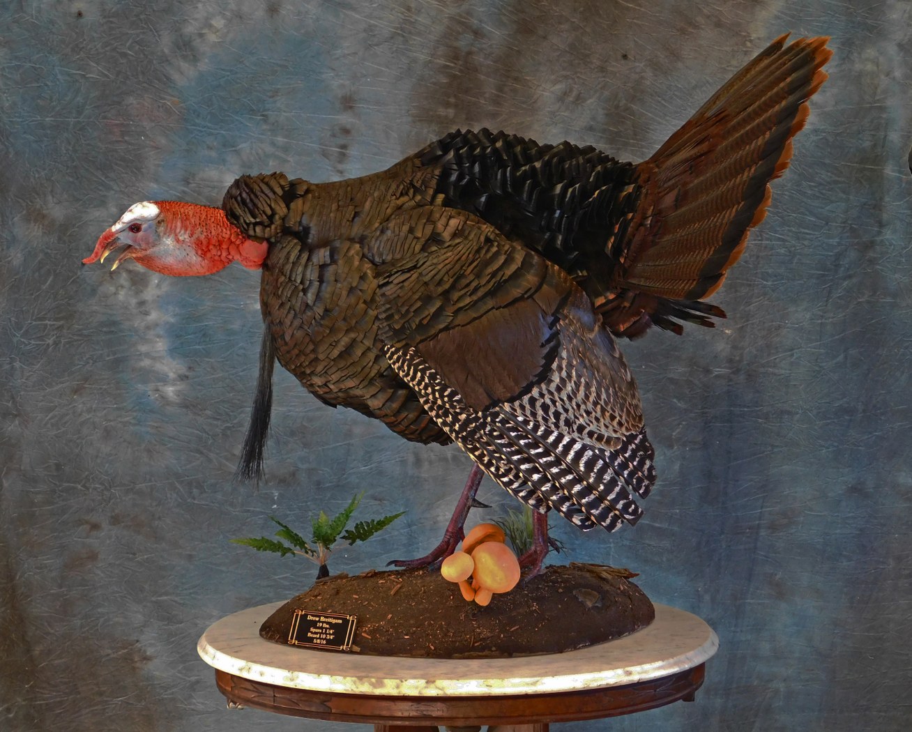 Gobble Strut. 1